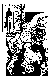 From Wildcats vol1