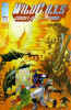 Cover to Issue #16 Wildcats Vol1